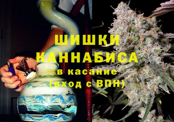 ГАЛЛЮЦИНОГЕННЫЕ ГРИБЫ Абаза